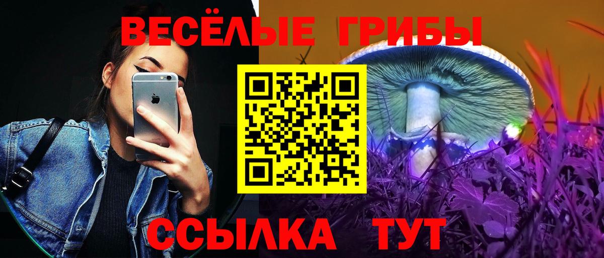 продажа наркотиков  Вход с VPN  Юрга  Псилоцибиновые грибы мицелий  Галлюциногенные грибы мицелий 